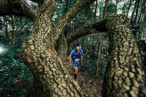 BIB: 
                            <button type="button" onclick="openModal(25392682)" class="btn btn-primary btn-sm float-right btn-popup" data-toggle="modal" data-target=".modal-high-quality">
                        <i class="fas fa-shopping-cart"></i> Add to Cart
                    </button>
                                            <button type="button" onclick="isThisMe(25392682, true)" class="btn btn-success btn-sm float-right btn-popup btn-isme hidden" data-toggle="tooltip" data-placement="bottom" title="นี่คือรูปของคุณใช่ไหม คลิกที่นี่เพื่อเอาเข้าอัลบั้ม">
                        <i class="fas fa-plus"></i> Add to album
                    </button>
                    <button type="button" onclick="isThisMe(25392682, false)" class="btn btn-warning btn-sm float-right btn-popup btn-isnotme hidden">
                        <i class="fas fa-ban"></i> Remove from album
                    </button>